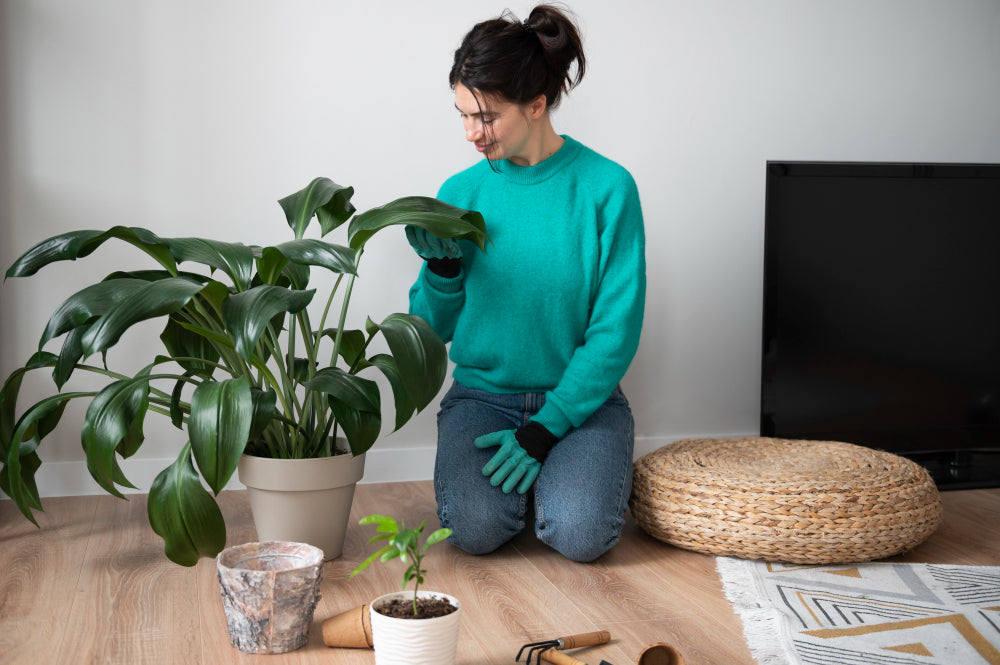 Sustainable Living: How Artificial Plants Contribute to an Eco-Friendly Lifestyle